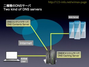 Fig.02 Two kind of DNS servers