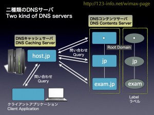Fig.09 Two kind of DNS servers